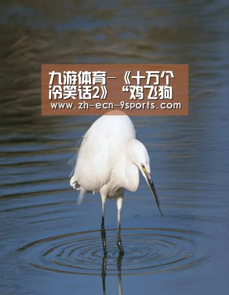 九游体育