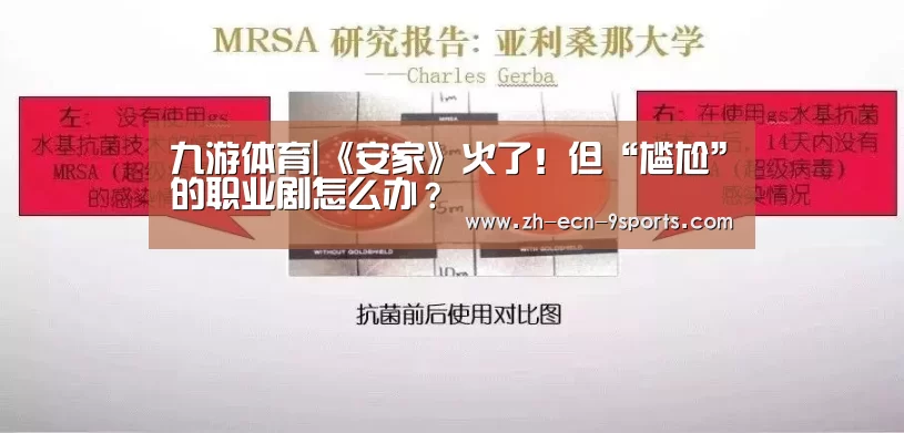九游体育|《安家》火了!但“尴尬”的职业剧怎么办?(图2) 九游体育